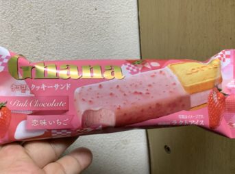 ロッテ ガーナ チョコ＆クッキーサンド 恋味いちご