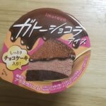 井村屋　ガトーショコラアイス