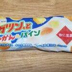赤城乳業ガツン、と みかん&パイン 杏仁豆腐