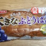 山崎製パン　大きなぶどうぱん　